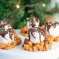 Salted Caramel Marshmallow Nests recipe are a quick, easy holiday treat. Pretzels are mixed with melted caramel and topped with a gooey marshmallow and drizzled chocolate. http://www.mamagourmand.com