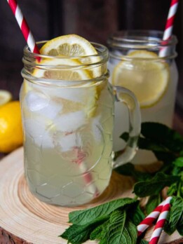 cropped-lemon-shake-up-1-1.jpg