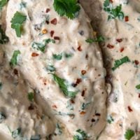 close up of cilantro lime chicken in a creamy sauce