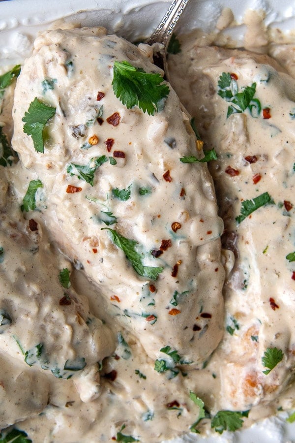 close up of cilantro lime chicken in a creamy sauce