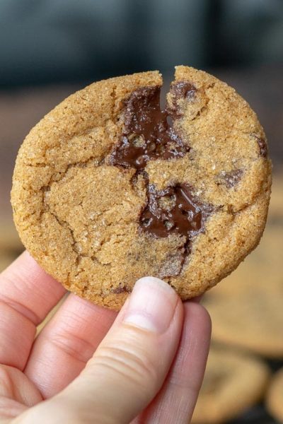 a hand holding up a ginger molasses cookie