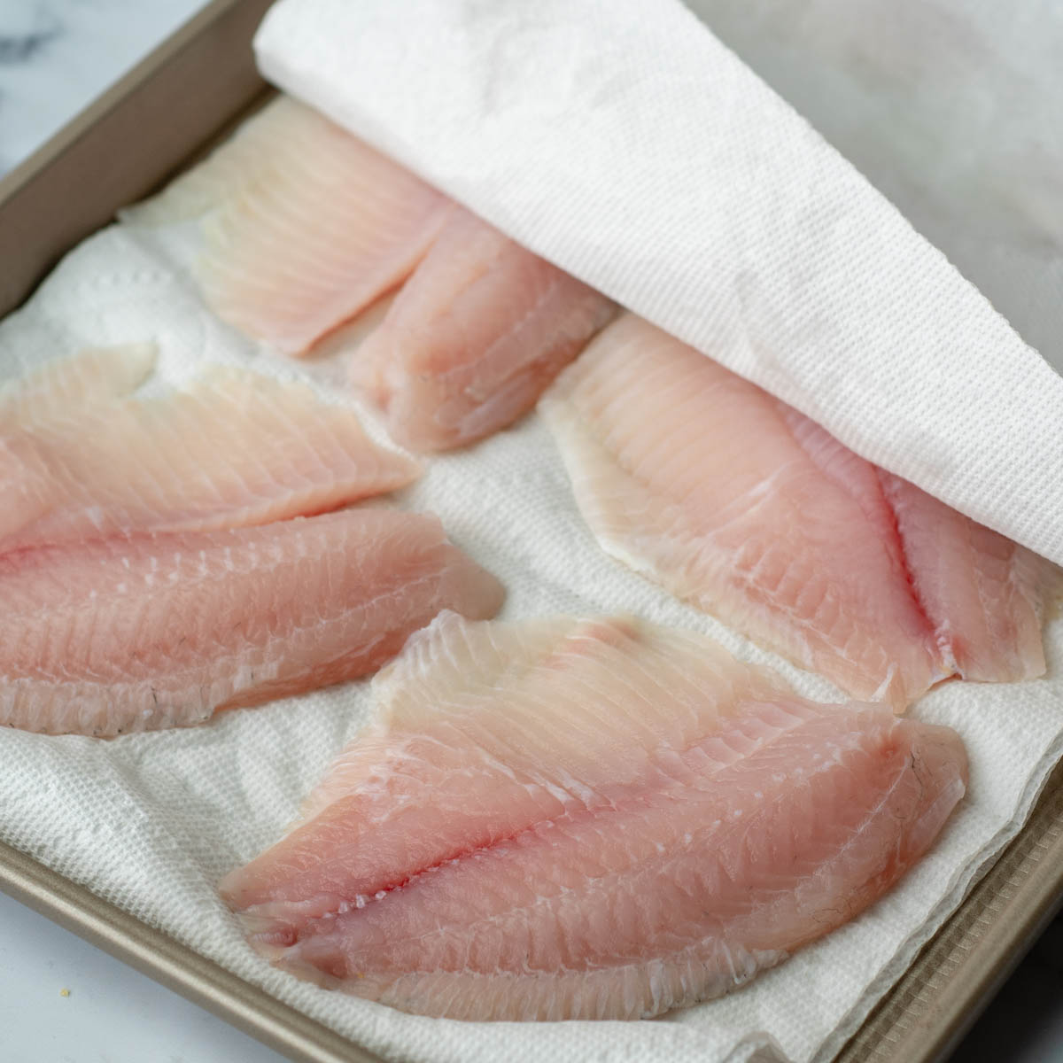 tilapia fillets blotted dry with paper towels.