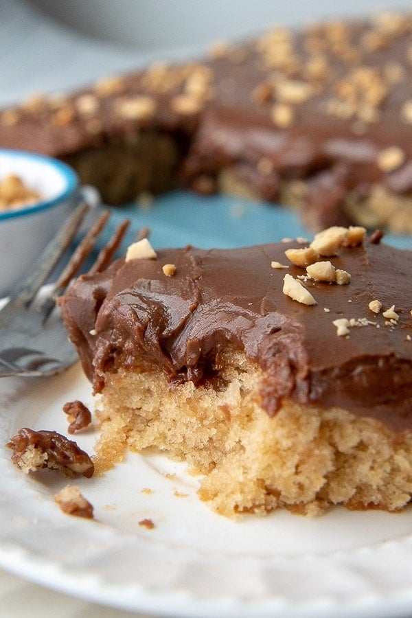 a close up of peanut butter chocolate cake with a bite taken out