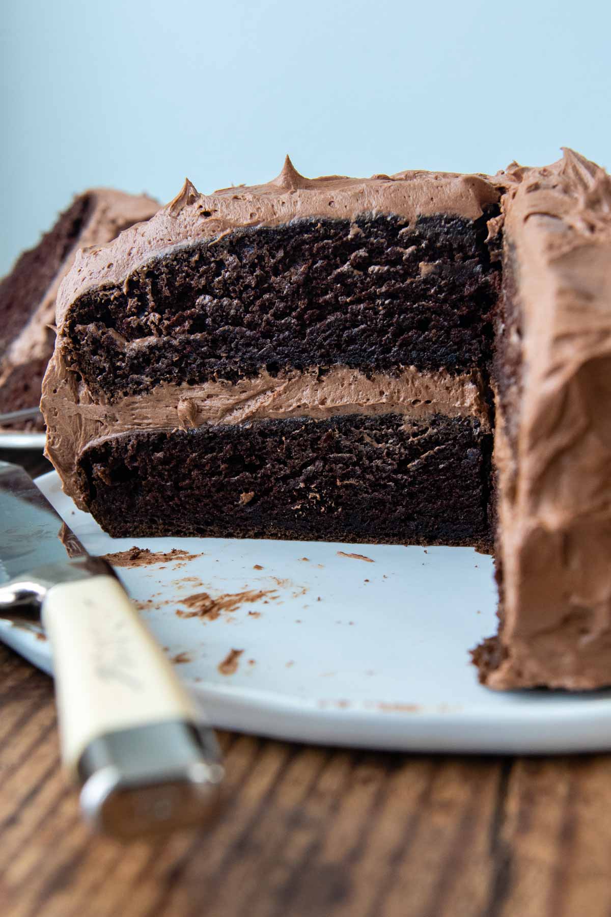 a chocolate layer cake sliced to show inside
