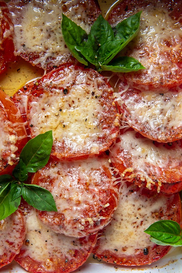 another angle of sliced tomatoes with sprigs of fresh basil tucked in