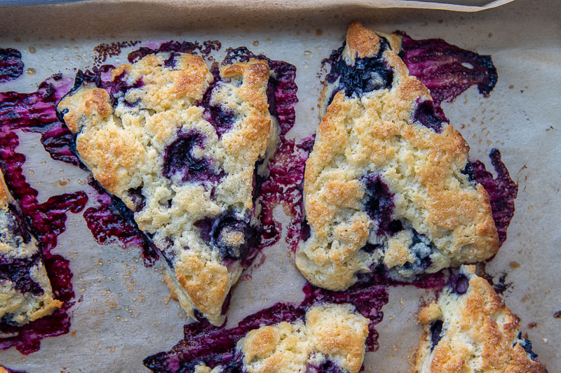 blueberry scones on a baking sheet with fruit seeping out around edges