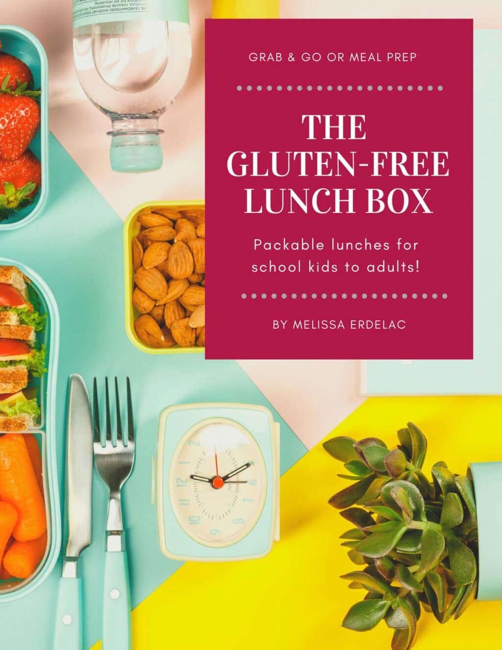 cover of gluten-free lunch cookbook