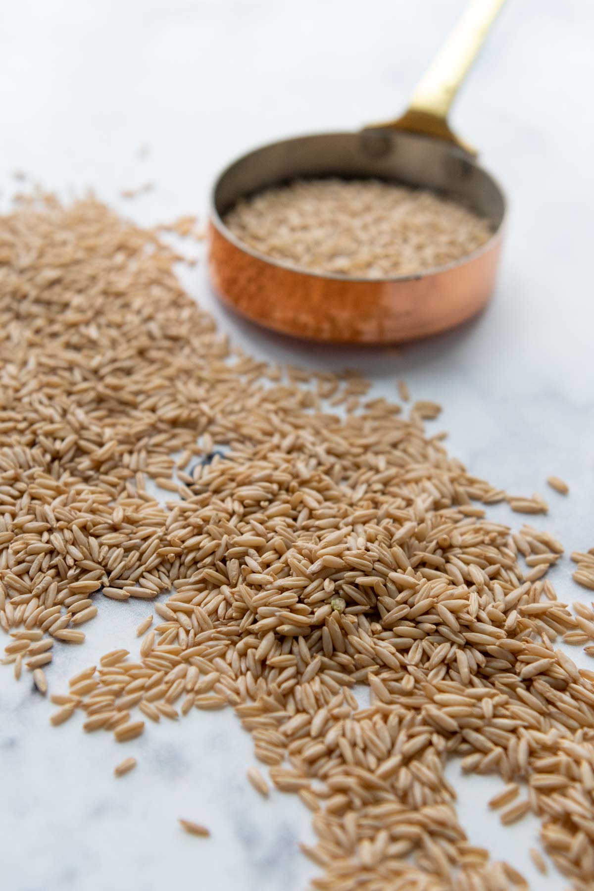 uncooked oat groat grains spread across a marble top.