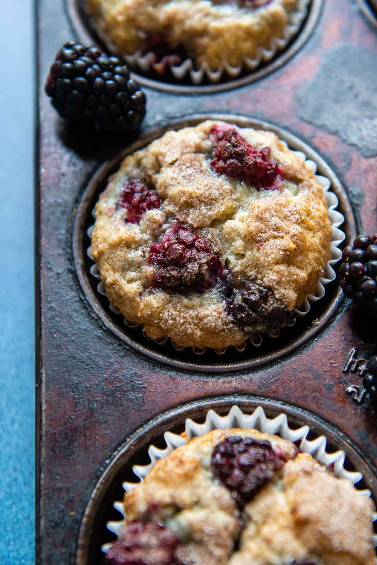 close up of the top of the blackberry muffin.