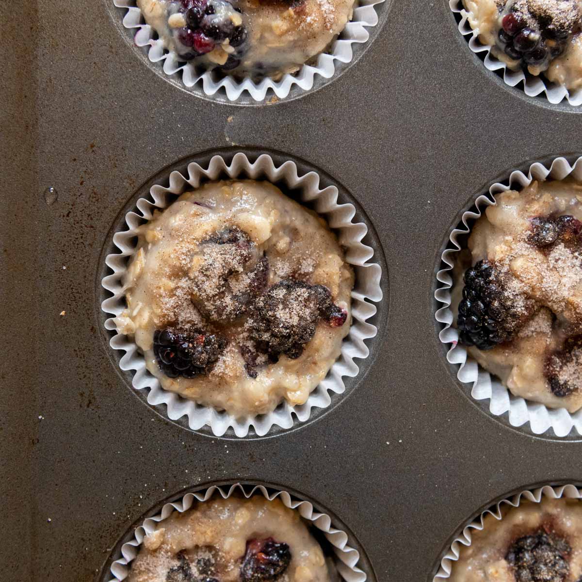 unbaked blackberry muffins with cinnamon sugar on top.