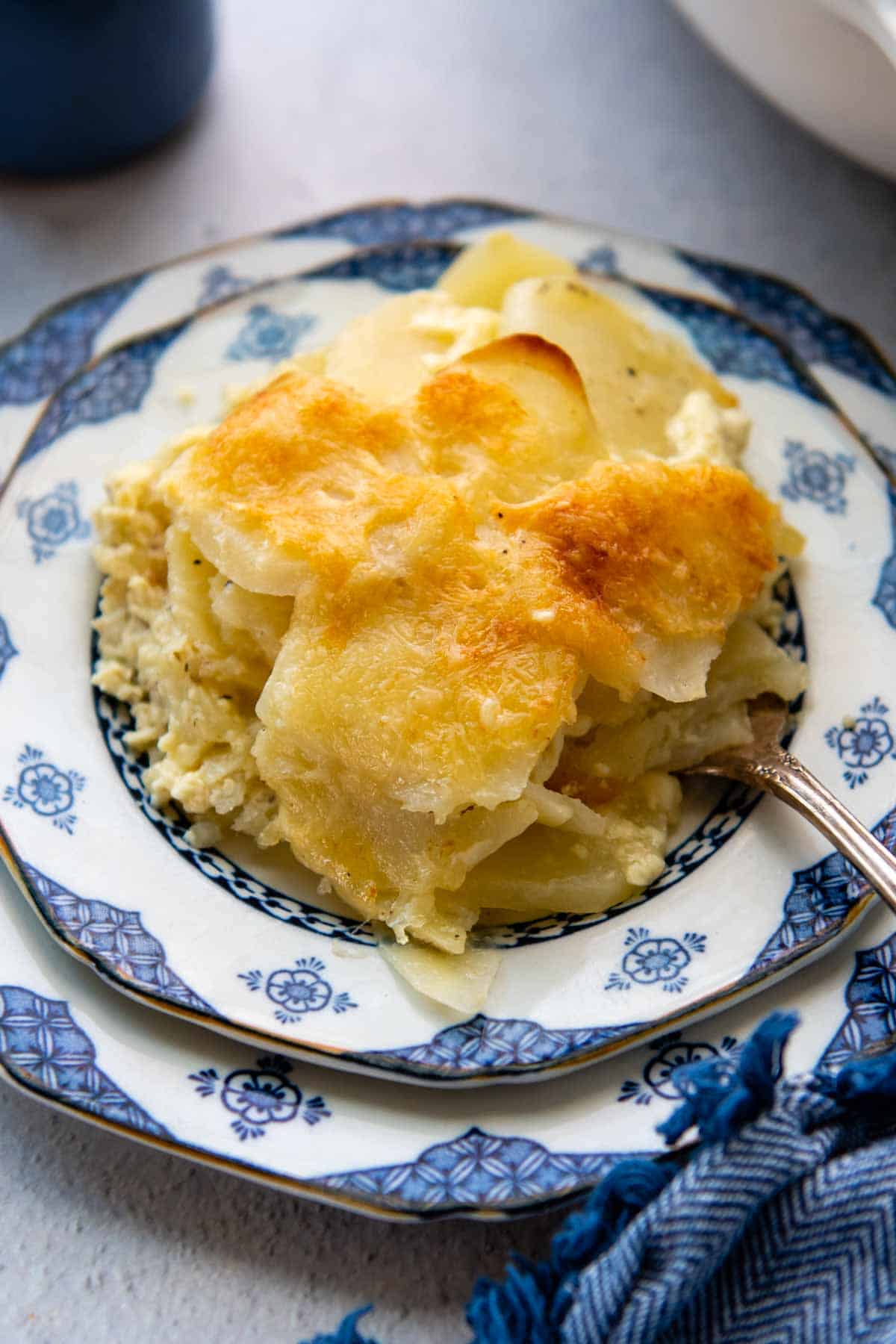 a serving of au gratin potatoes on a white and blue plate.