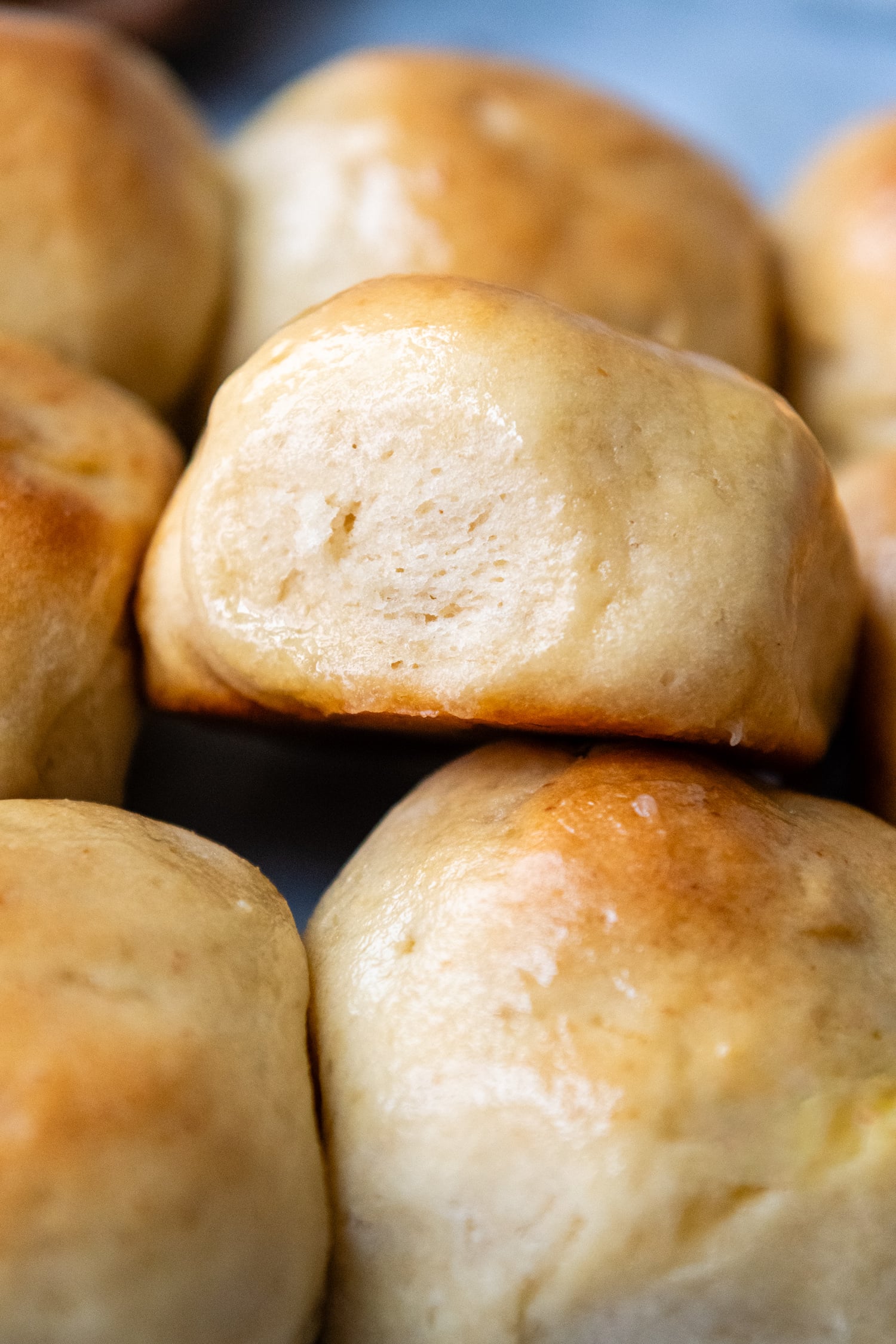 Close up of a bunch of Gluten Free Hawaiian Rolls.