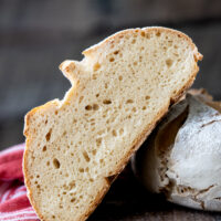 A slice of gluten free sourdough showing the inside texture.