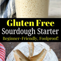 gluten free sourdough starter pinterest pin.