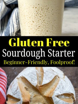 gluten free sourdough starter pinterest pin.