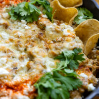 Close up of dip with chips.